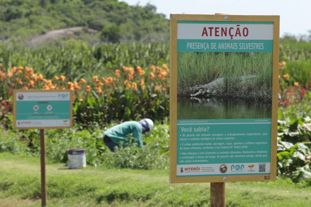 Placas alertam sobre presença de jacarés em Niterói